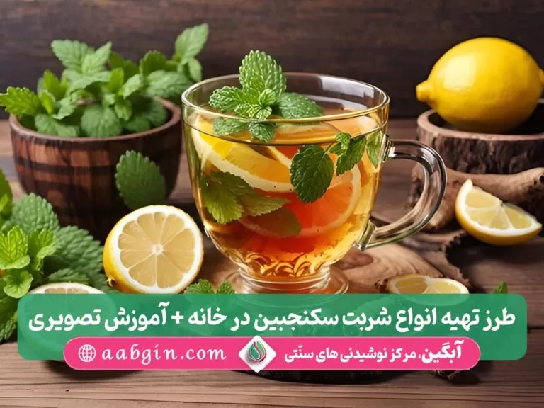 طرز تهیه شربت سکنجبین، طرز تهیه انواع شربت سکنجبین
