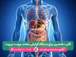 سکنجبین برای دستگاه گوارش، سکنجبین برای معده
