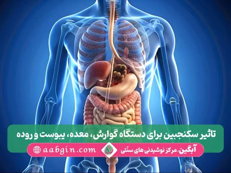 سکنجبین برای دستگاه گوارش، سکنجبین برای معده